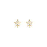 Gold Star Hoop Earrings for Women earringEarrings for WomenGold Star EarringsGold Star Earrings for WomenStar Earrings for Women