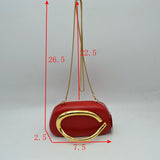 Hard Shell Clutch with Metallic Handle and Chain Strap