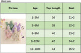Baby Girl Halloween Costume Butterfly Wing Mesh Flower Sleeveless Tulle Fairy Romper Dress Birthday Tutu Dress