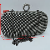 Embellished Box Clutch with Ring Top Clasp
