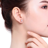 Micro-Set Zircon Stud Earrings