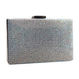 Shimmery Evening Clutch Bag