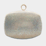 Shimmery Evening Clutch Bag