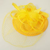Elegant Floral Veil Fascinator Headband