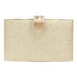 Shimmery Evening Clutch Crossbody Bag