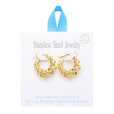 Stainless Steel Spiral Hoop Pin Catch Earrings