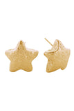 14K Glitter Texture Star Post Earring