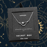 Secret Box _ Sterling Silver Dipped CZ Capricorn Zodiac Sign Pendant Necklace