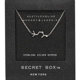 SECRET BOX_Sterling Silver Dipped Acetylcholine Hormone Molecule Necklace