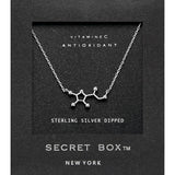 SECRET BOX_Sterling Silver Dipped Vitamin Hormone Molecule Necklace