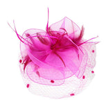 Feather Mesh Flower Fascinator Headband