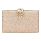 Shimmery Evening Clutch Crossbody Bag