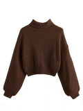 Turtle Neck Elegant Long Sleeve Sweater