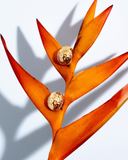 Collins Geometric Bold Earrings