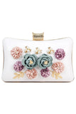 Evening Bag