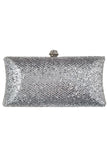 Metallic Glitter Clutch