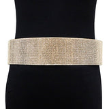 Rhinestone Pave Embellished Metal Waist Belt
