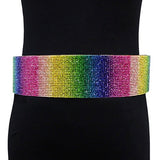 Rhinestone Pave Embellished Metal Waist Belt