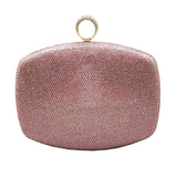 Shimmery Evening Clutch Bag Clasp Closure